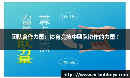 bob博鱼体育